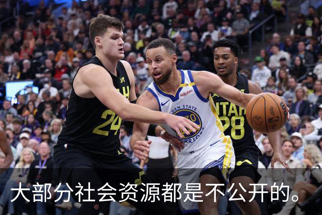 大部分社会资源都是不公开的。