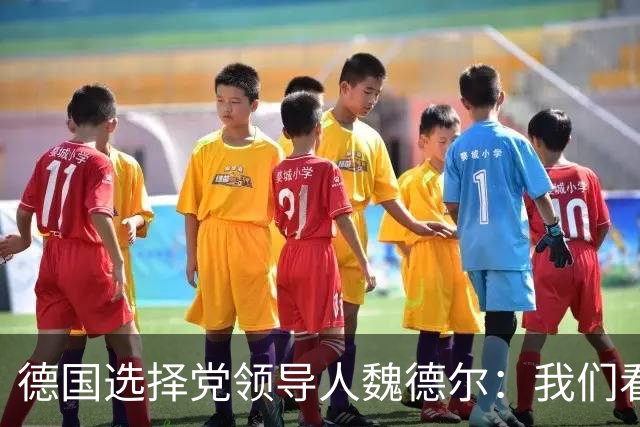 德国选择党领导人魏德尔：我们看到法国和德国的骚乱，应驱逐移民