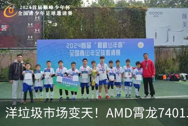 洋垃圾市场变天！AMD霄龙7401二手大甩卖：24核仅需59元