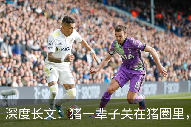 深度长文：猪一辈子关在猪圈里，为什么不会"憋疯"抑郁？其实它会