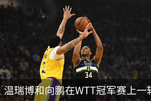 温瑞博和向鹏在WTT冠军赛上一轮游，为何不给削球手李天阳机会？