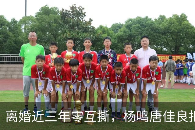 离婚近三年零互撕，杨鸣唐佳良把"不再回应"做成了防火墙