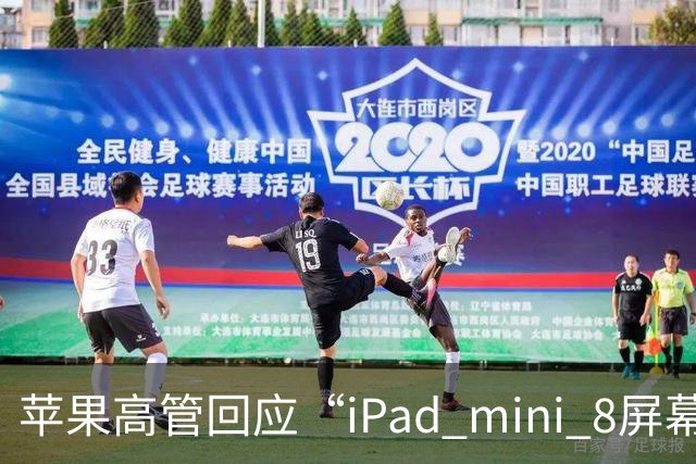 苹果高管回应“iPad mini 8屏幕刷新率为何依然为60Hz”